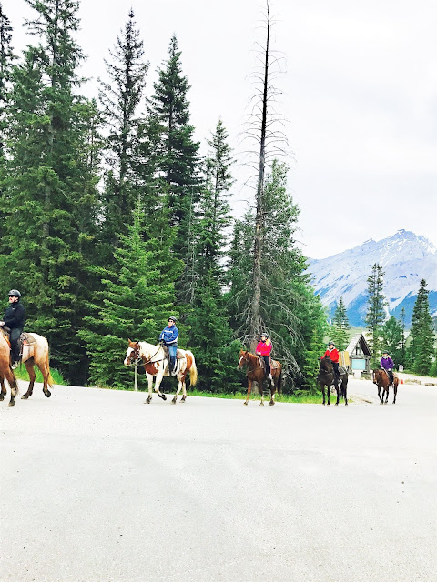 Banff, Upperhotsprings, Visitorsguide, ExploreCanada, TravelAlberta