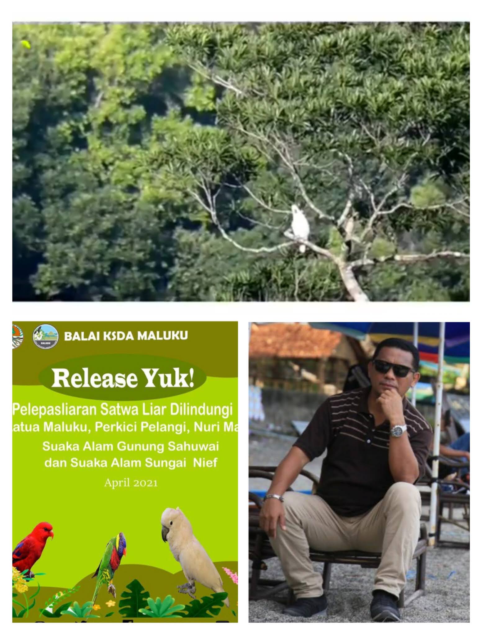 Travelplus Indonesia: Suaka Alam Gunung Sahuwai dan Sungai Nief Jadi