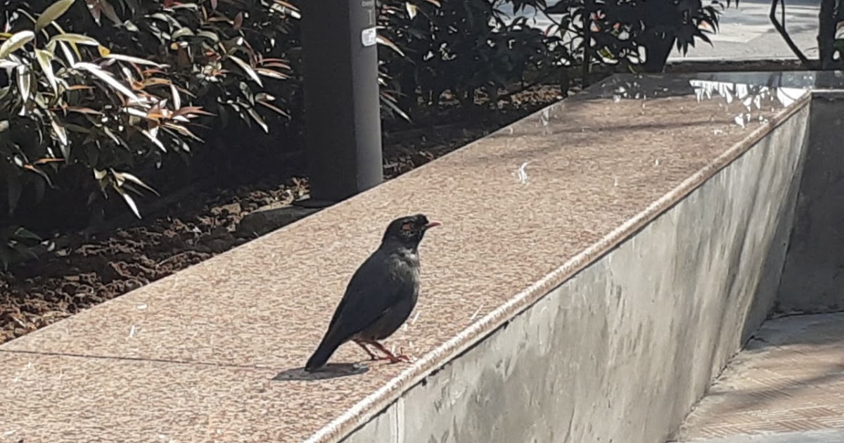 A complicated Machine