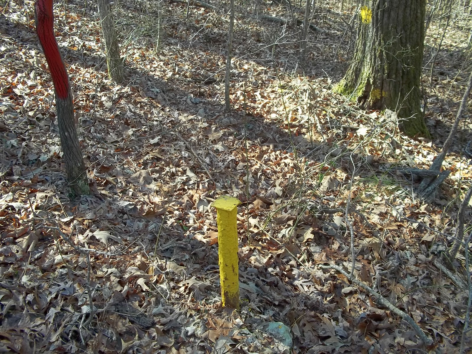 Kilgore Cousins PAINTING THE LINESKILGORE BROTHERS BONDING EXPERIENCE