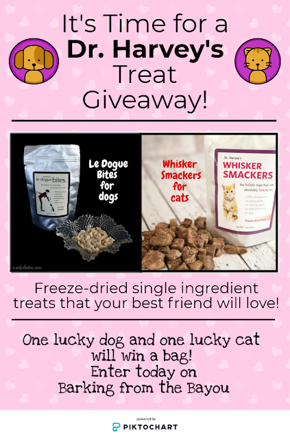 Infographic for Dr Harvey's treat giveaway