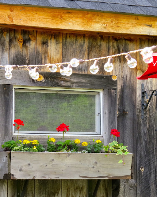 The Long Awaited Home: Our Great Big Summertime Yard Tour