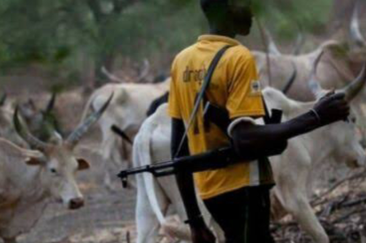 Afresh, Suspected herdsmen attack Benue communities, kill 19