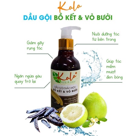 DẦU GỘI THẢO MỘC BỒ KẾT VÀ VỎ BƯỞI 300ML – KALA