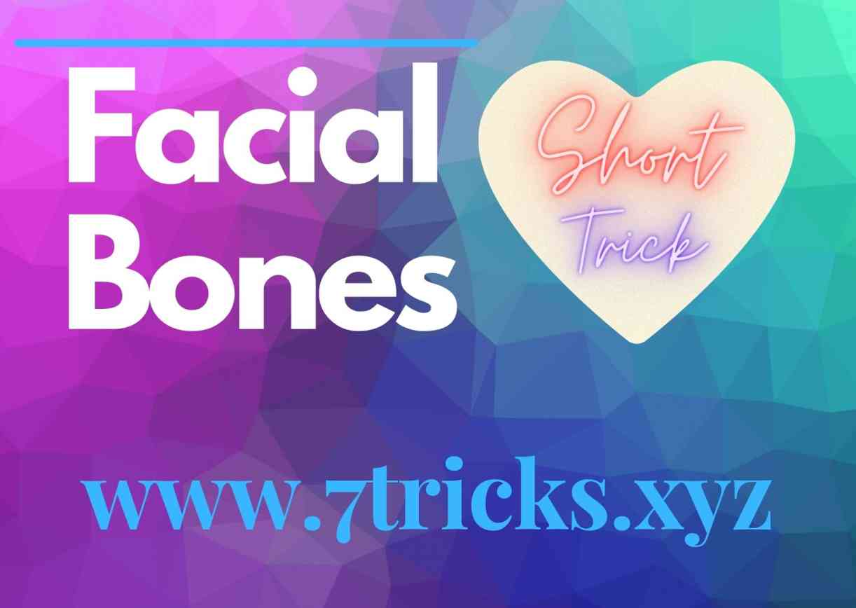 Short Trick to learn Facial Bones [Mnemonics] & Notes 7tricks