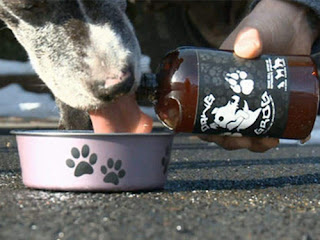 for Dogs Beer
