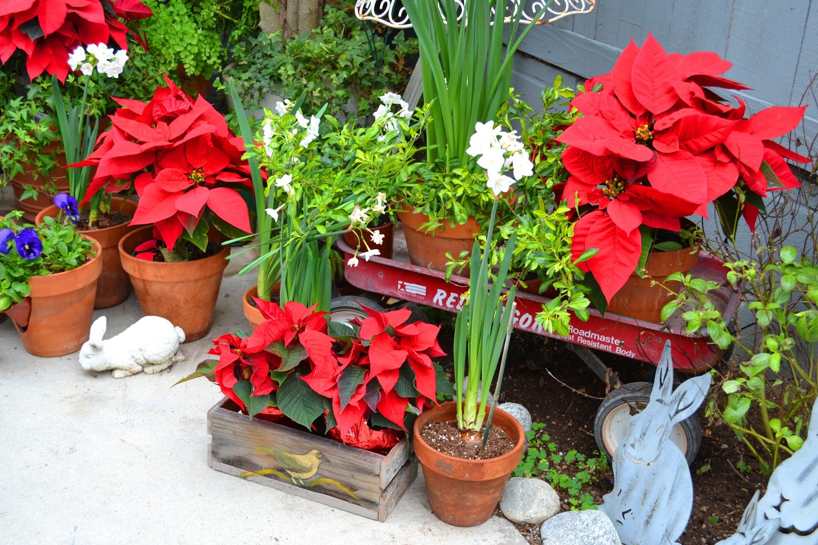 My Painted Garden Christmas Traditions / Garden Gifts