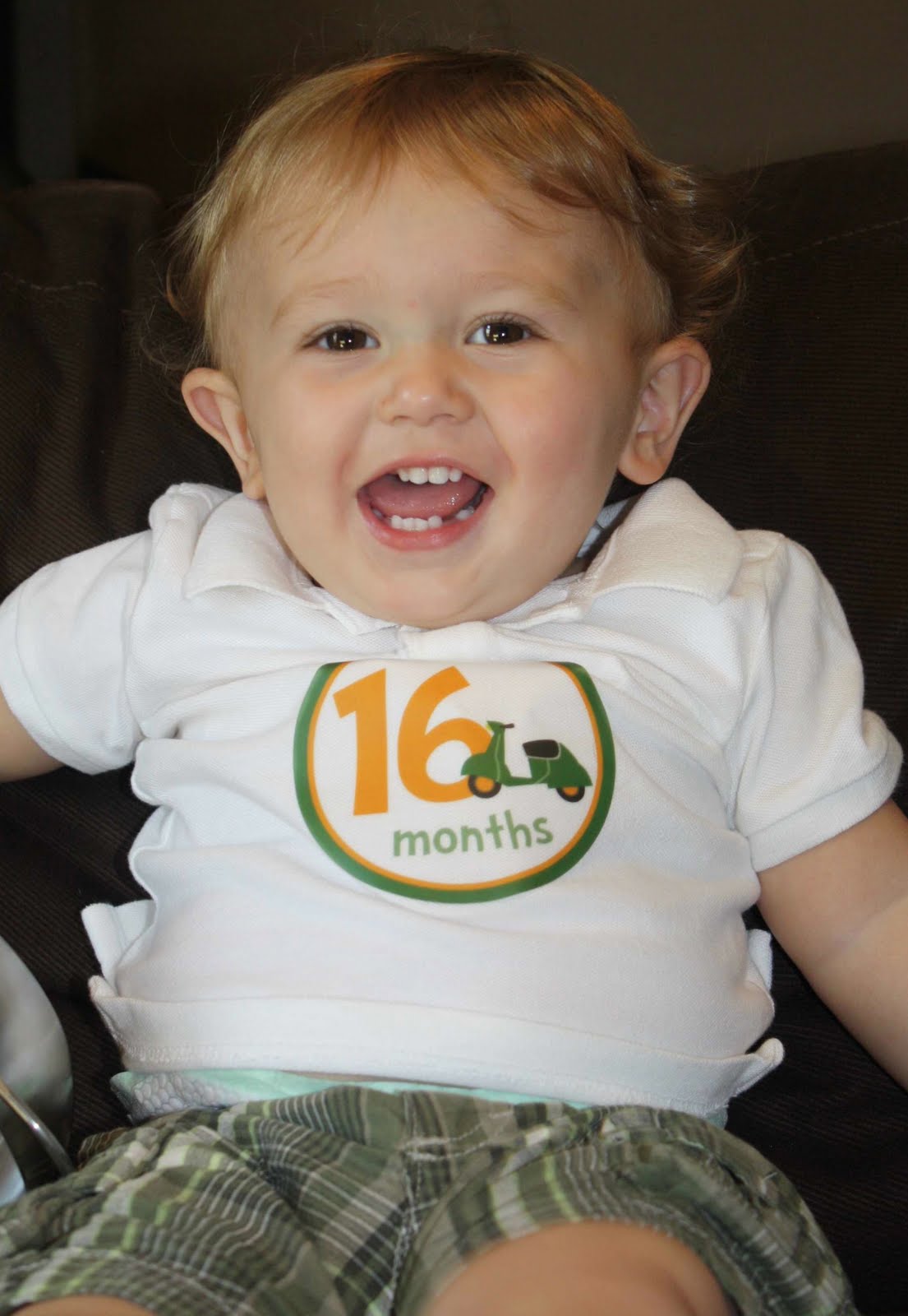 Baby McDermott 16 Months Old