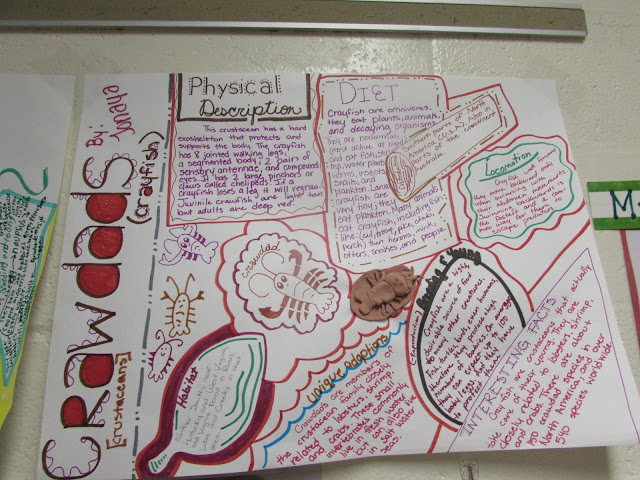 Growing a STEM Classroom: Crazy about Crayfish!