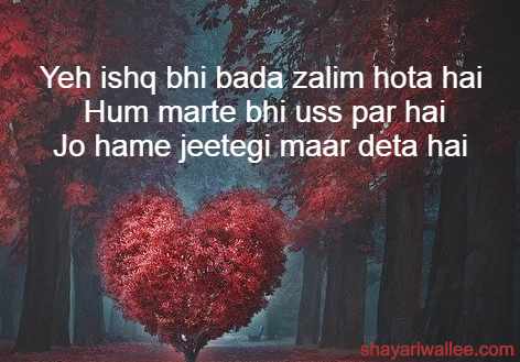 ishq shayari photo download