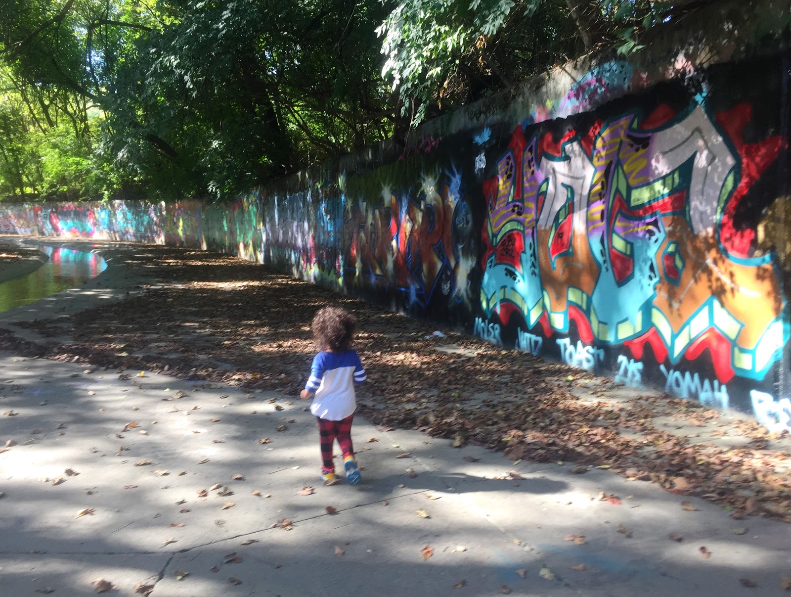 Attacking Graffiti At Leo Petroglyph Ohio History Connection