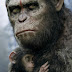 Film Dawn of the Planet of the Apes Terbaru 2014