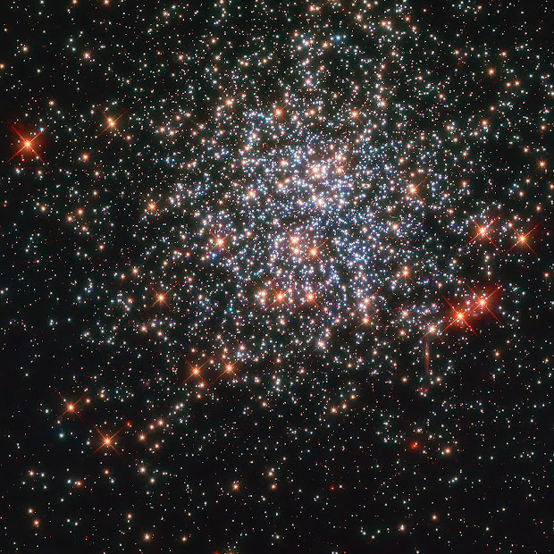Open Cluster NGC 2203