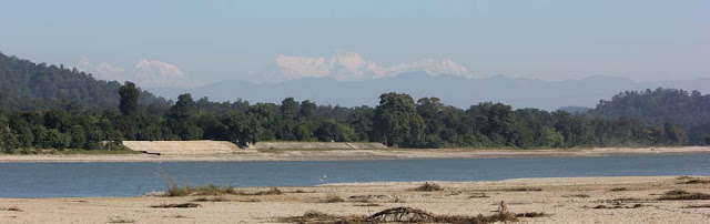 नए साल में यहां इस बार नहीं मना पाएंगे पिकनिक, पढ़े पूरी खबर 1 नए साल में यहां इस बार नहीं मना पाएंगे पिकनिक, पढ़े पूरी खबर 1
