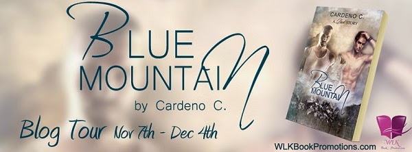 Blue Mountain by Cardeno C.