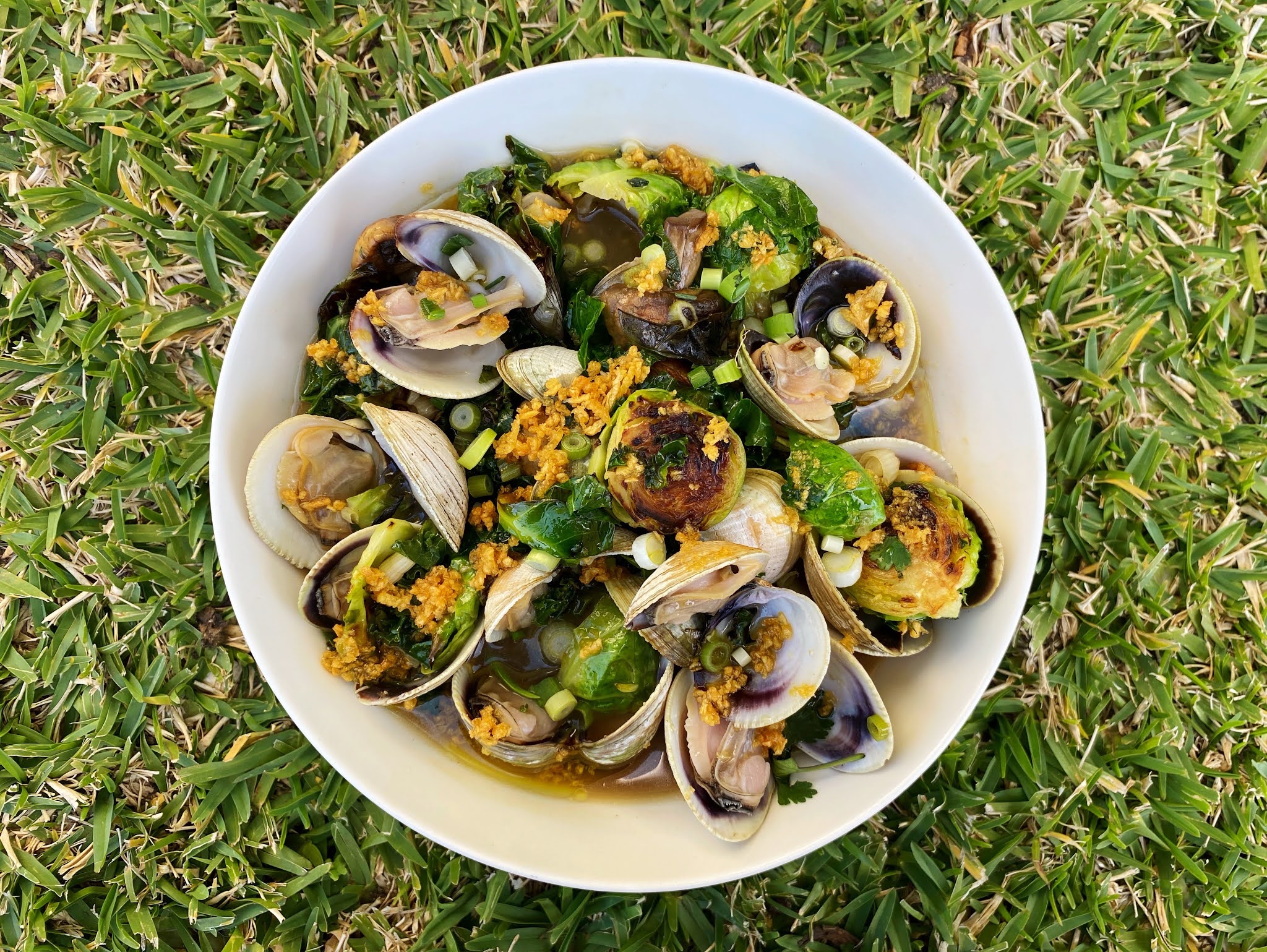 Clam and Veggie Soup