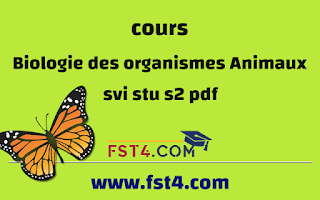 BIOLOGIE DES ORGANISMES ANIMAUX STU SVI BIOLOGIE DES ORGANISMES ANIMAUX STU SVI