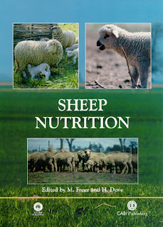 Sheep Nutrition