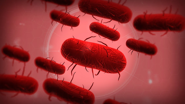 Plague Inc Mod DNA Infinito Plague Inc Mod DNA Infinito