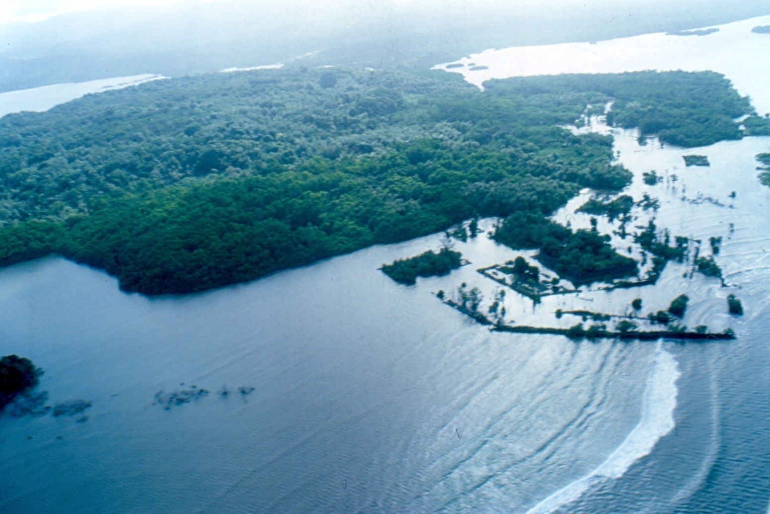 Ein Buch Lesen Januar 2018