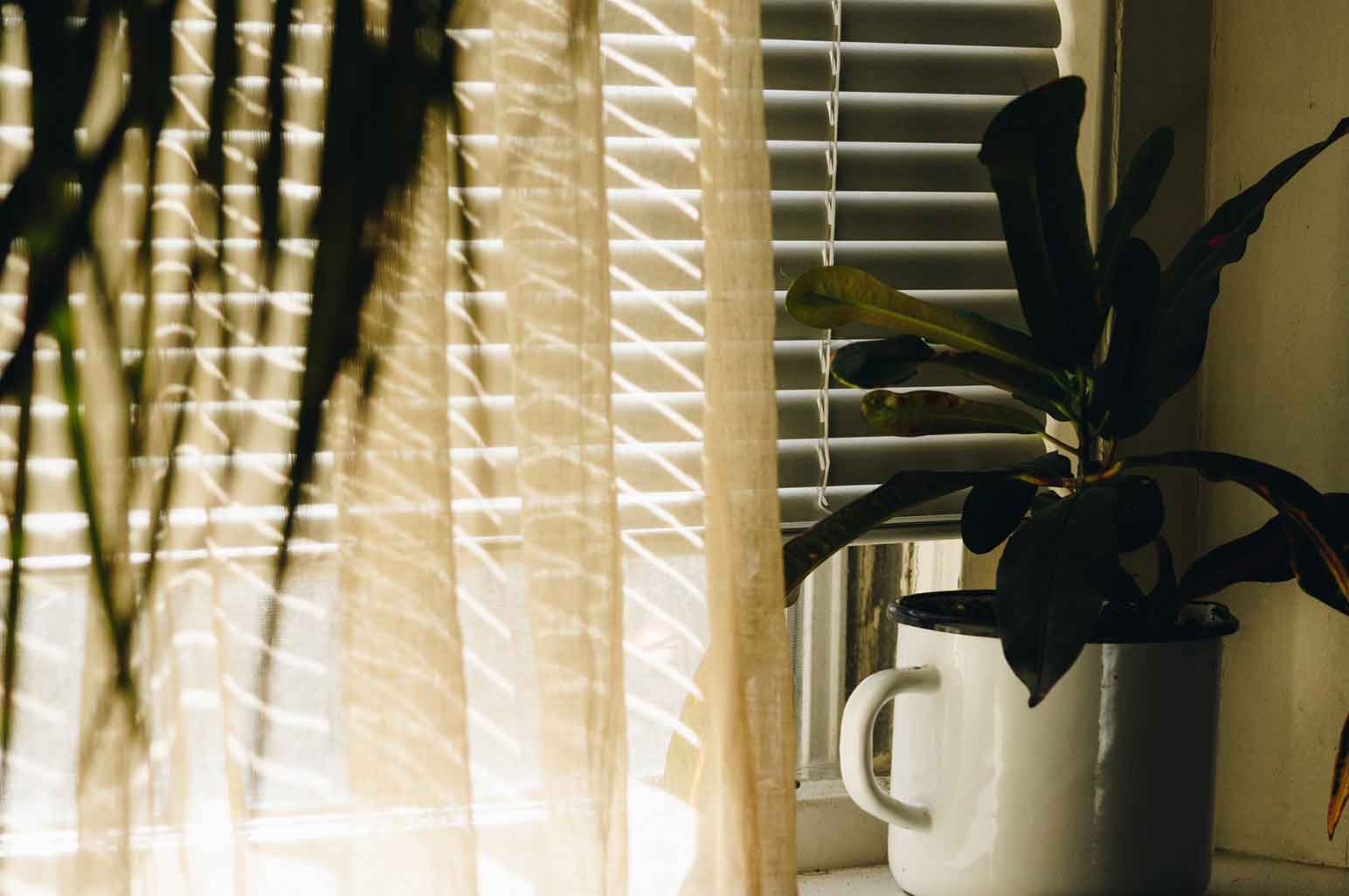 6 Signs It's Time to Replace Your Window Blind