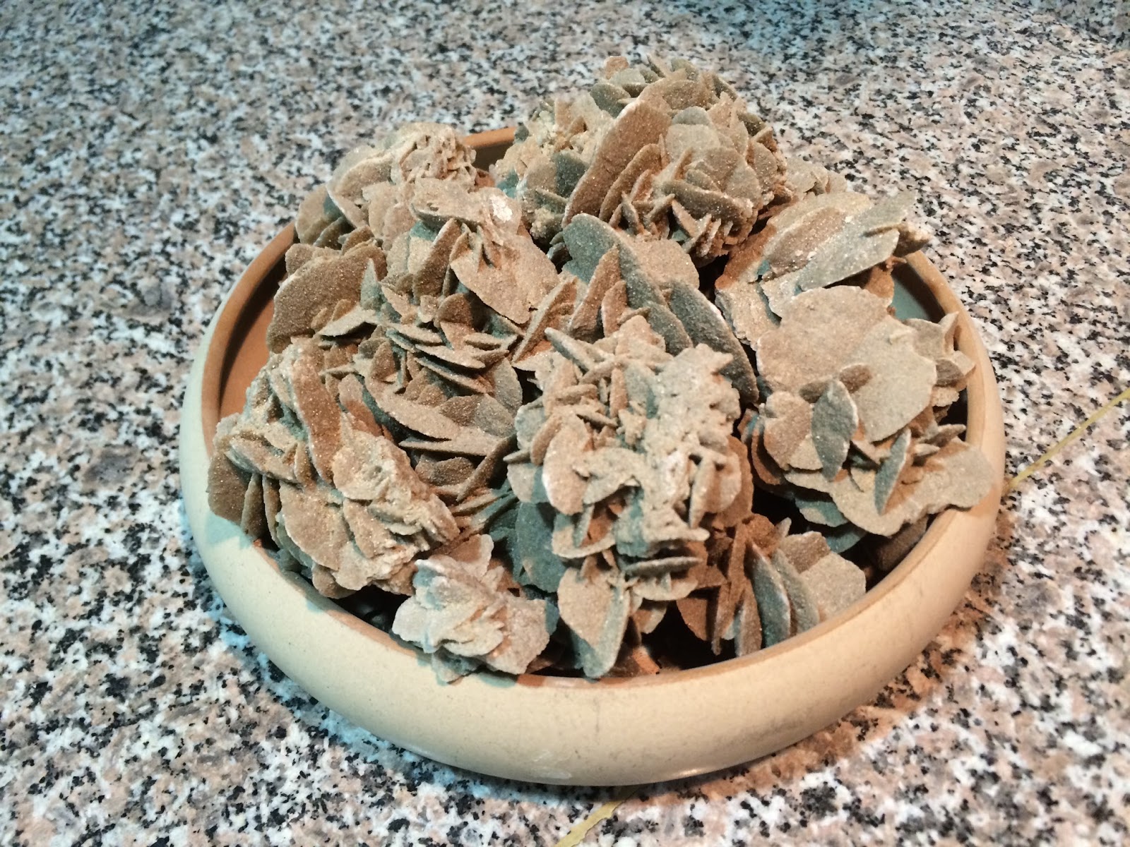 Skeptic in Qatar Desert Roses