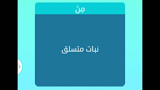 نبات متسلق نبات متسلق