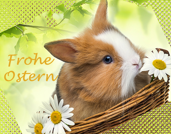 Fröhliche Ostern