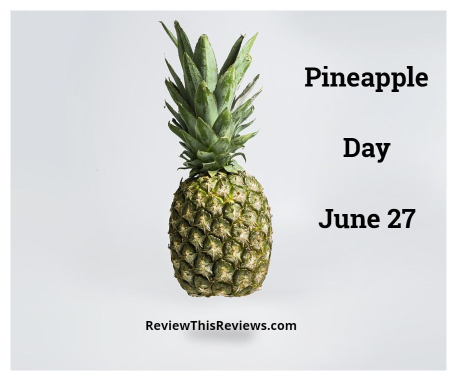 Pineapple Day Holiday Review