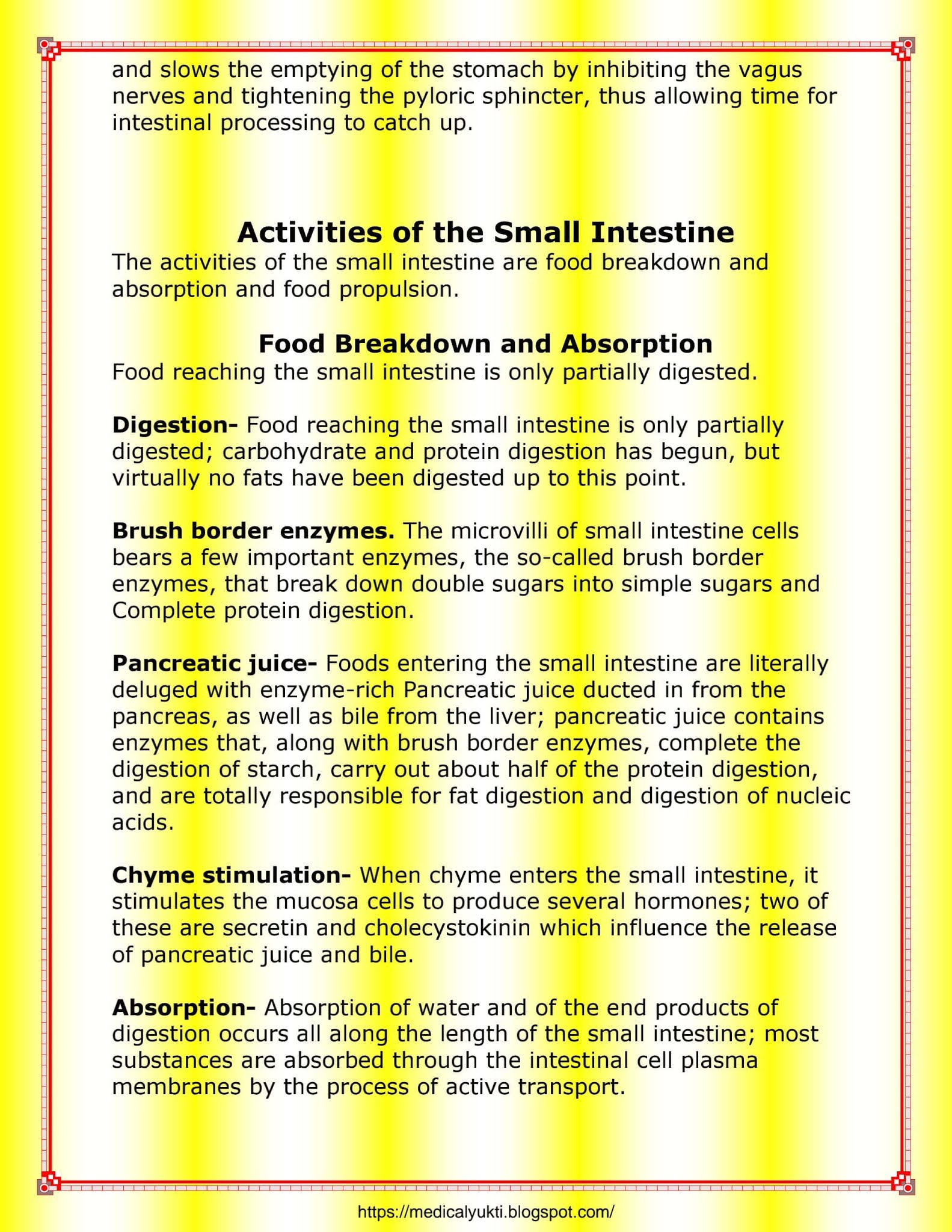 Digestive System Anatomy Physiology - Medical Yukti