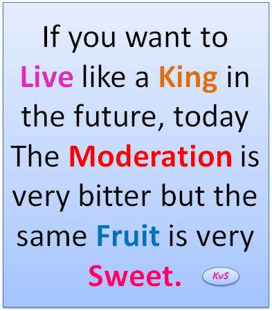 Moderation Quotes - Top 29 Love In Moderation Quotes Famous Quotes