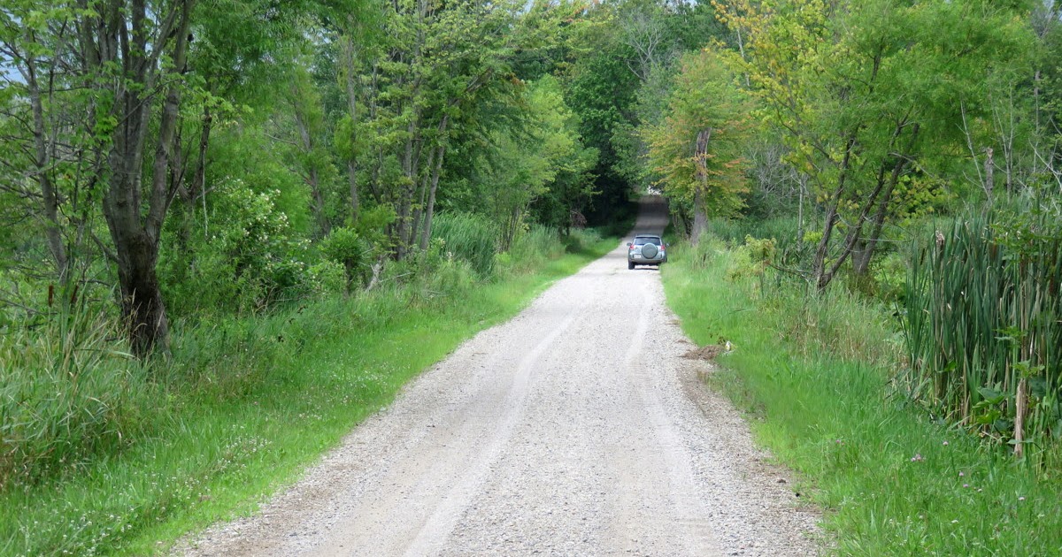Time Stand Still, a photo blog The road through the swamp