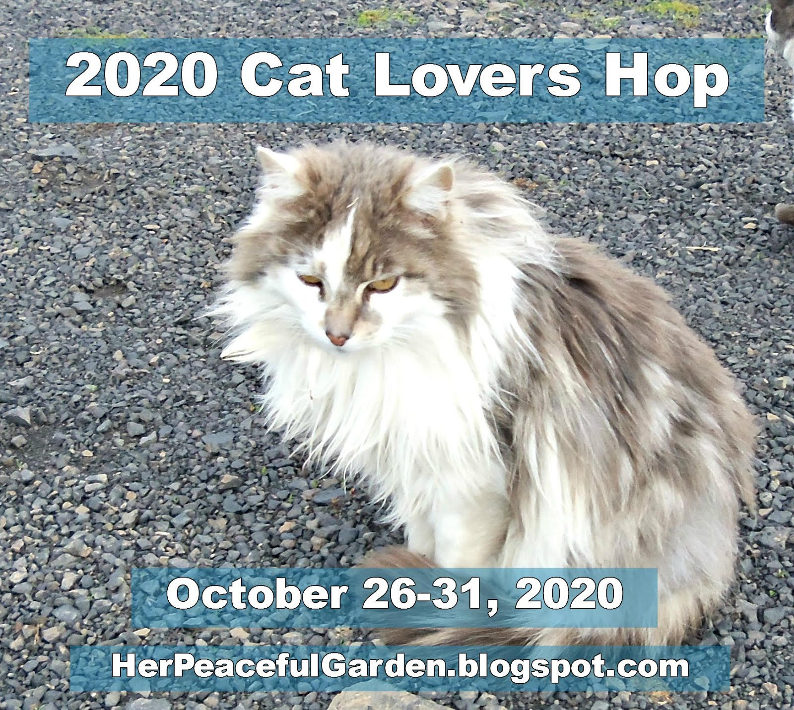 Newton's Nook Designs 2020 Cat Lovers Blog Hop!