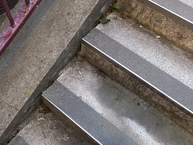 Concrete steps with metal edges and railings. 19th July 2021