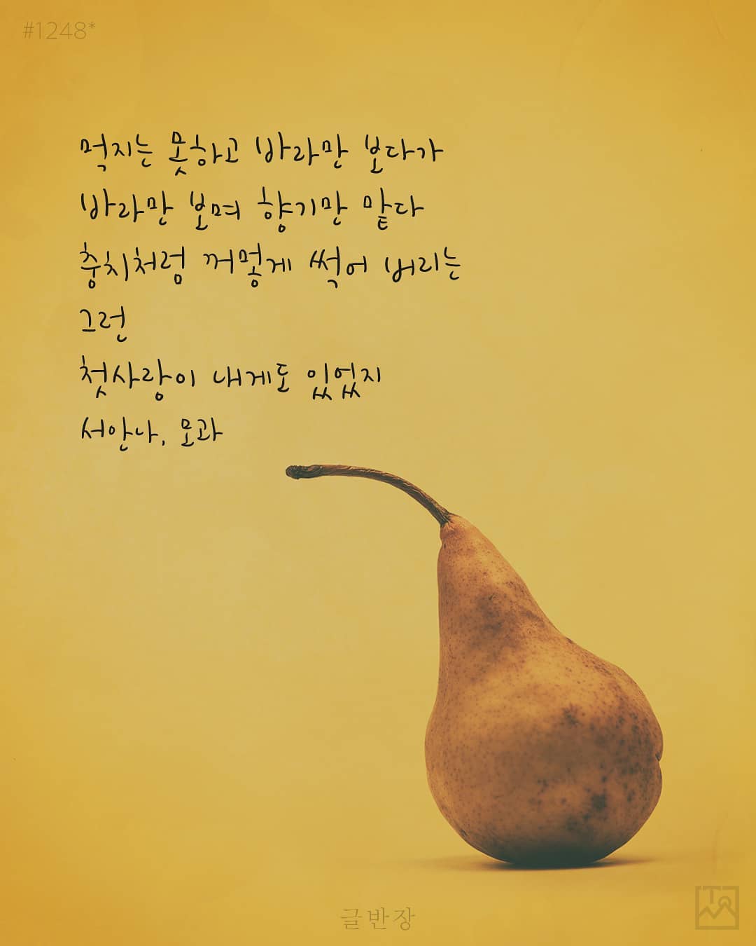 첫사랑 - 서안나, 모과