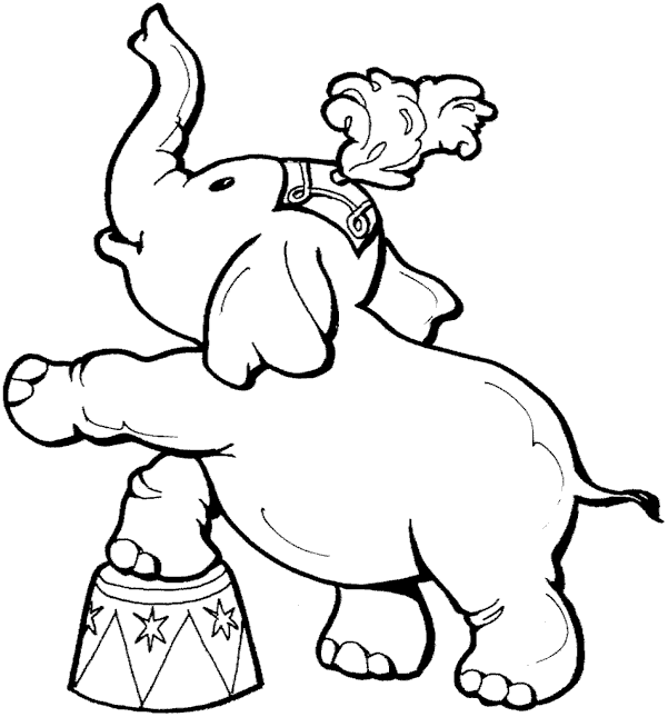 20 Gambar Mewarnai Binatang Gajah Anak 10 Kartun Circus