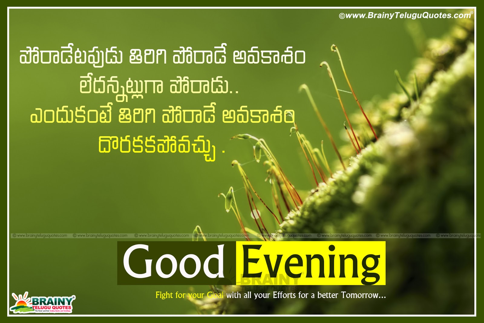 Telugu Good Evening Inspirational Quotes Messages Hd Wallpapers Brainyteluguquotes Comtelugu Quotes English Quotes Hindi Quotes Tamil Quotes Greetings