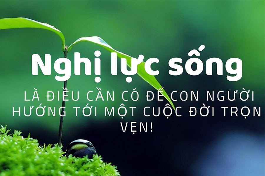 Những câu nói hay về bảo hiểm nhân thọ