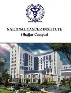 National Cancer Institute National Cancer Institute
