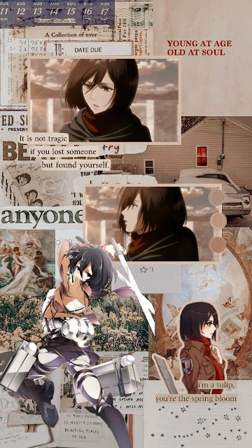 Mikasa Aesthetic Wallpaper Kumpulan Gambar Attack On Titan Aesthetic Wallpaper HD Android dan Iphone