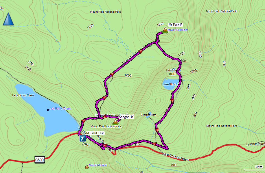 Mount Field East Hiking South East Tasmania