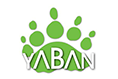 Yaban TV