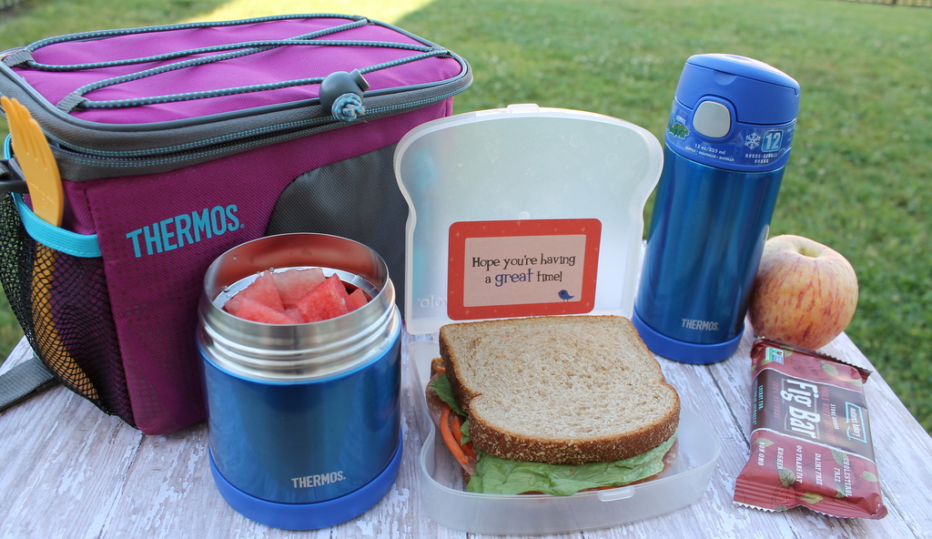 FUNtainer Thermos Lunch Set Pink 12 oz Bottle and 10 oz Food Jar Kids  Friendly