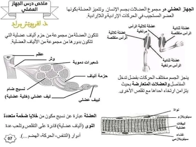 ملخصات دروس مادة علوم الحياة والارض للسنة الثالثة اعدادي.