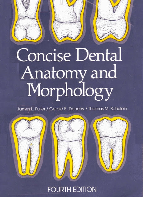 Concise Dental Anatomy and Morphology 4th Edition Concise Dental Anatomy and Morphology 4th Edition