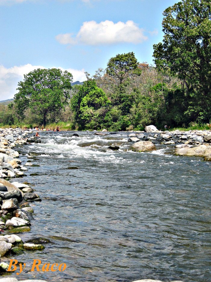 East PTY Caña Blanca