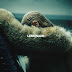 Encarte: Beyoncé - Lemonade
