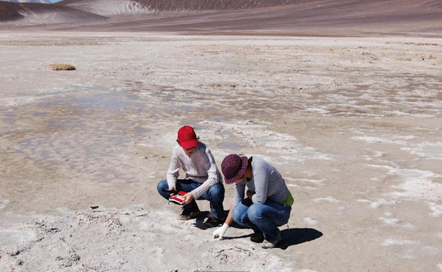 Уникальные бактерии  пустыни Атакама в Чили 
