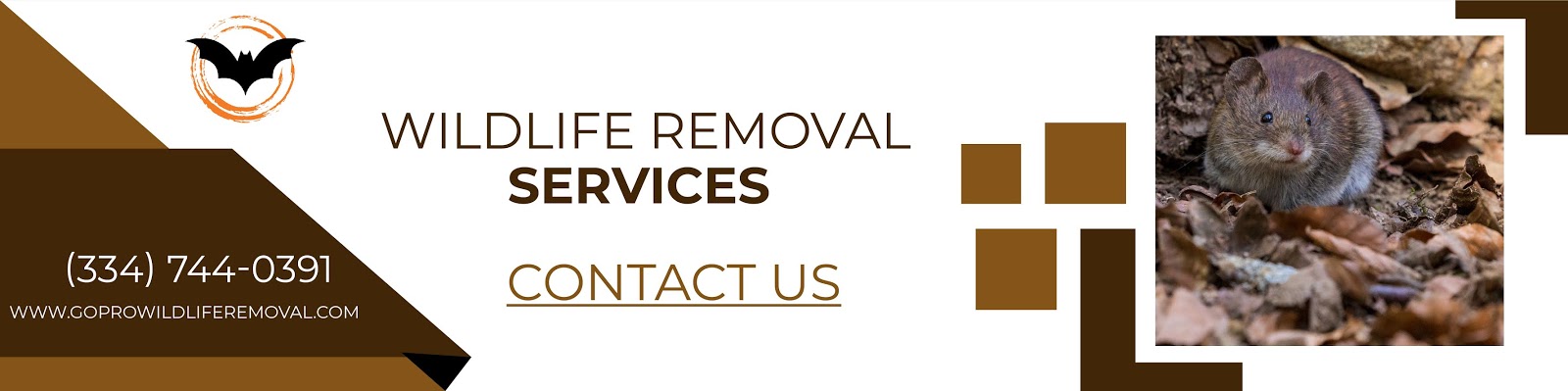 Go Pro Wildlife Removal Services Provide The Best Gimmick-free