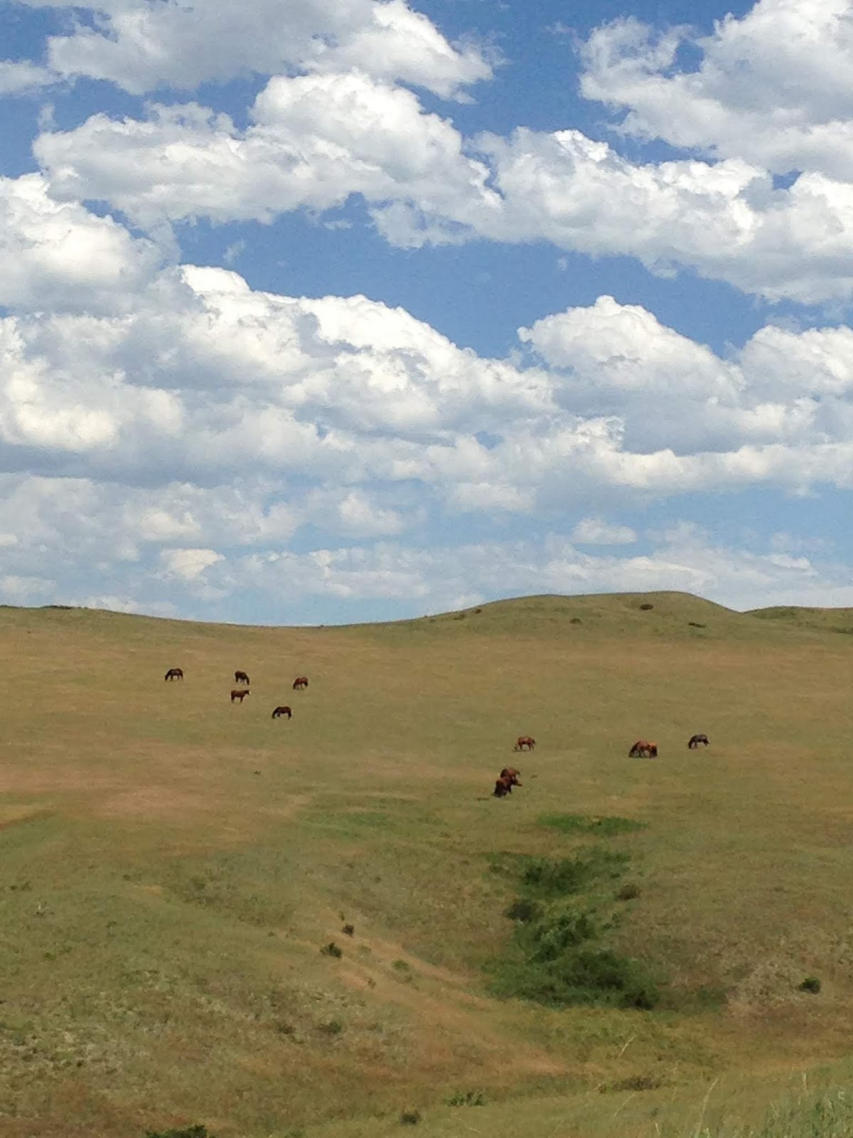 little bighorn battlefield on 2016 Summer Mountain Trip Part 13 Little Bighorn Battlefield National Monument
